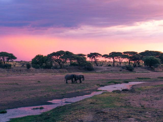 Ruaha National Park